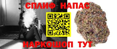стафф Нальчик