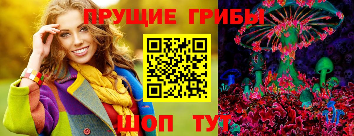 Псилоцибиновые грибы мицелий Саки
