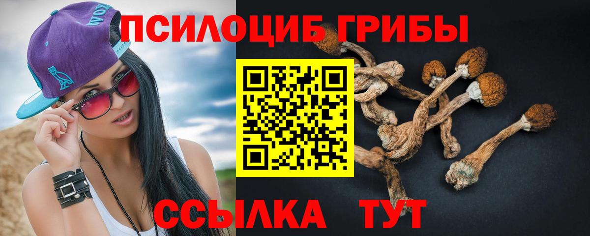 Саки  Галлюциногенные грибы мицелий  Вход с VPN 